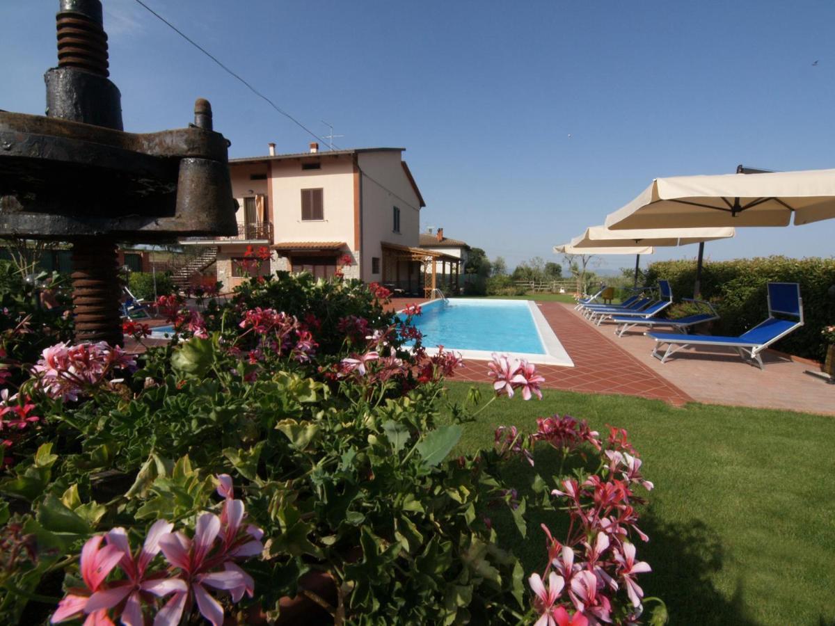 Il Giardino Degli Ulivi Castiglione Del Apartment
