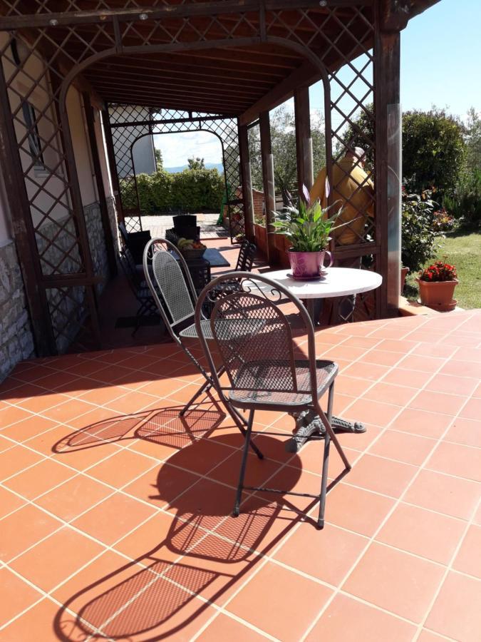 Il Giardino Degli Ulivi Castiglione Del