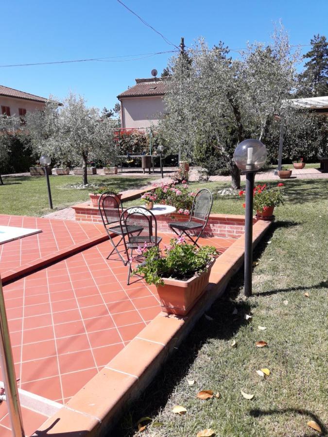 Il Giardino Degli Ulivi Castiglione Del * Pozzuolo