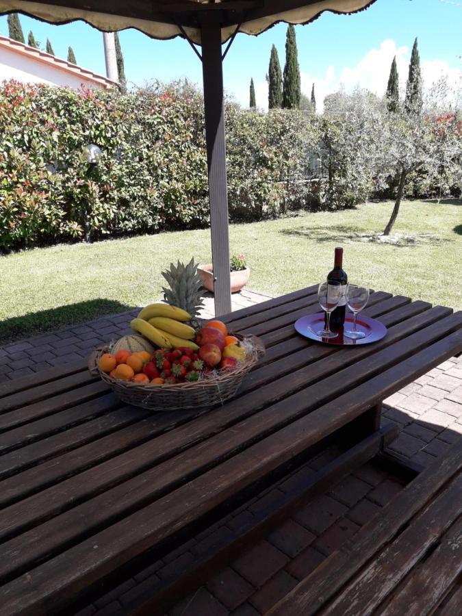 Il Giardino Degli Ulivi Castiglione Del *